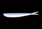 Lunker City Fin s Fish 4'' Ice Shad 725442132408