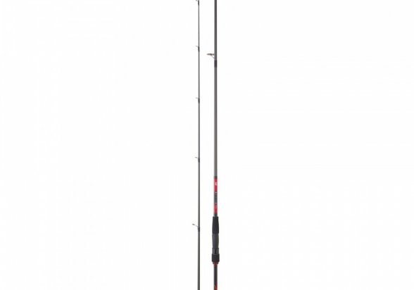 Daiwa Crosscast 1002HXHFS Spin (Lenght 3.05m - C.w 14-56gr) 3660393431590